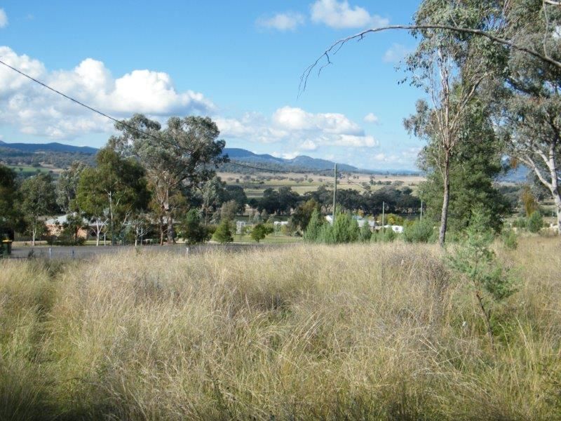 6 Greentrees Drive, Quirindi NSW 2343, Image 2