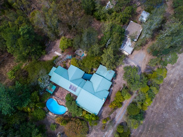 442 Louth Park Road, Louth Park NSW 2320