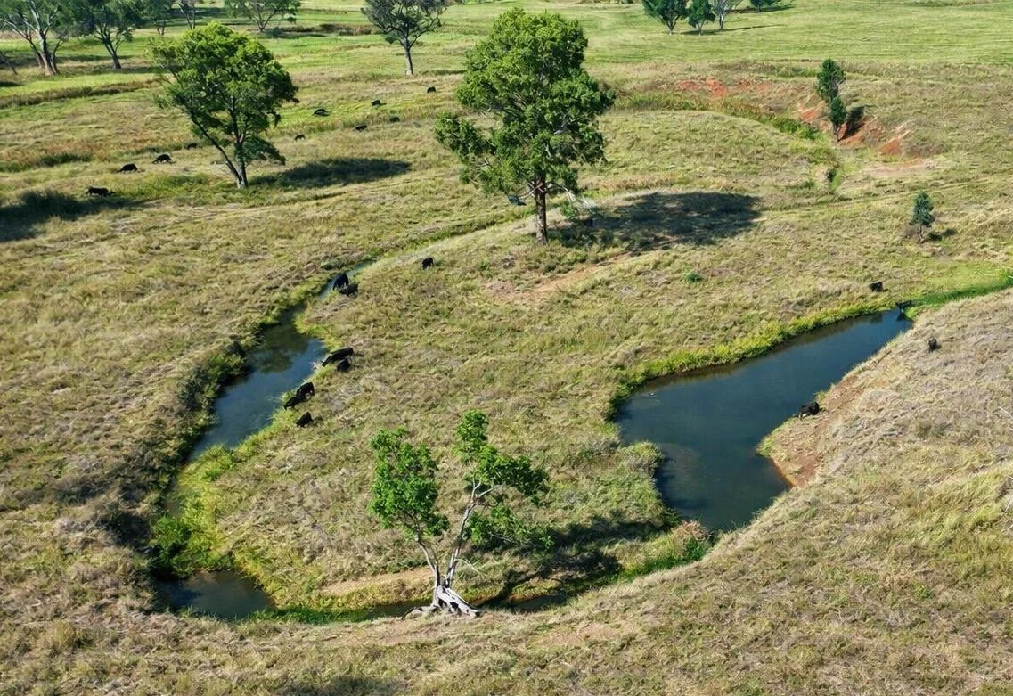 Additional image 19 of 311 Fishers Lane, Loomberah NSW 2340