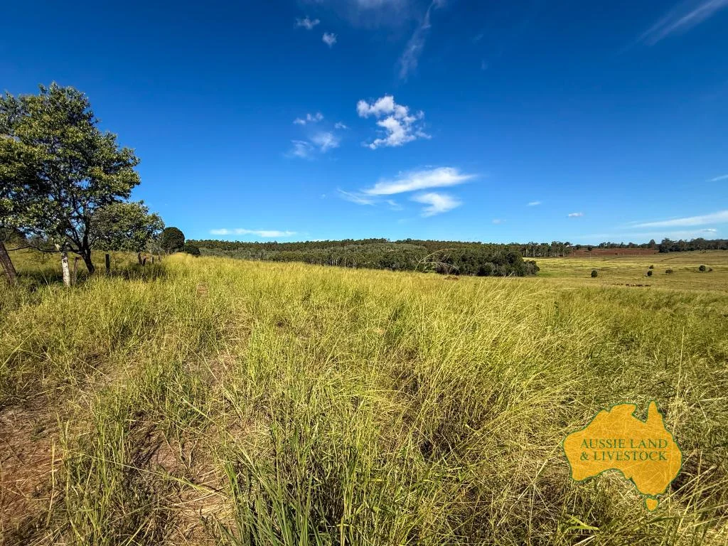 Additional image 77 of 268 Back Creek Road, Stalworth QLD 4613