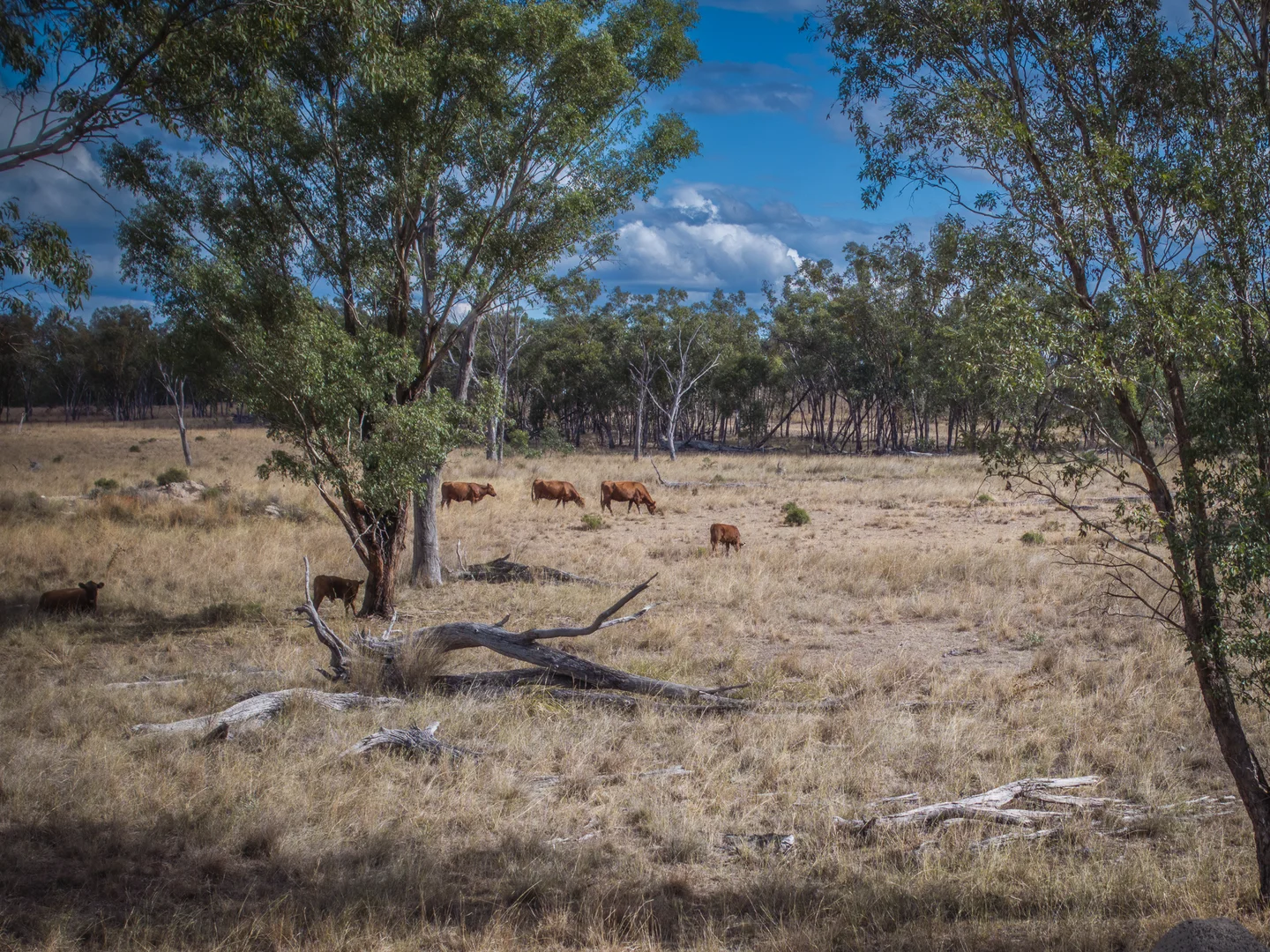 Additional image 21 of 3297 Stanthorpe-Inglewood Road, Inglewood QLD 4387