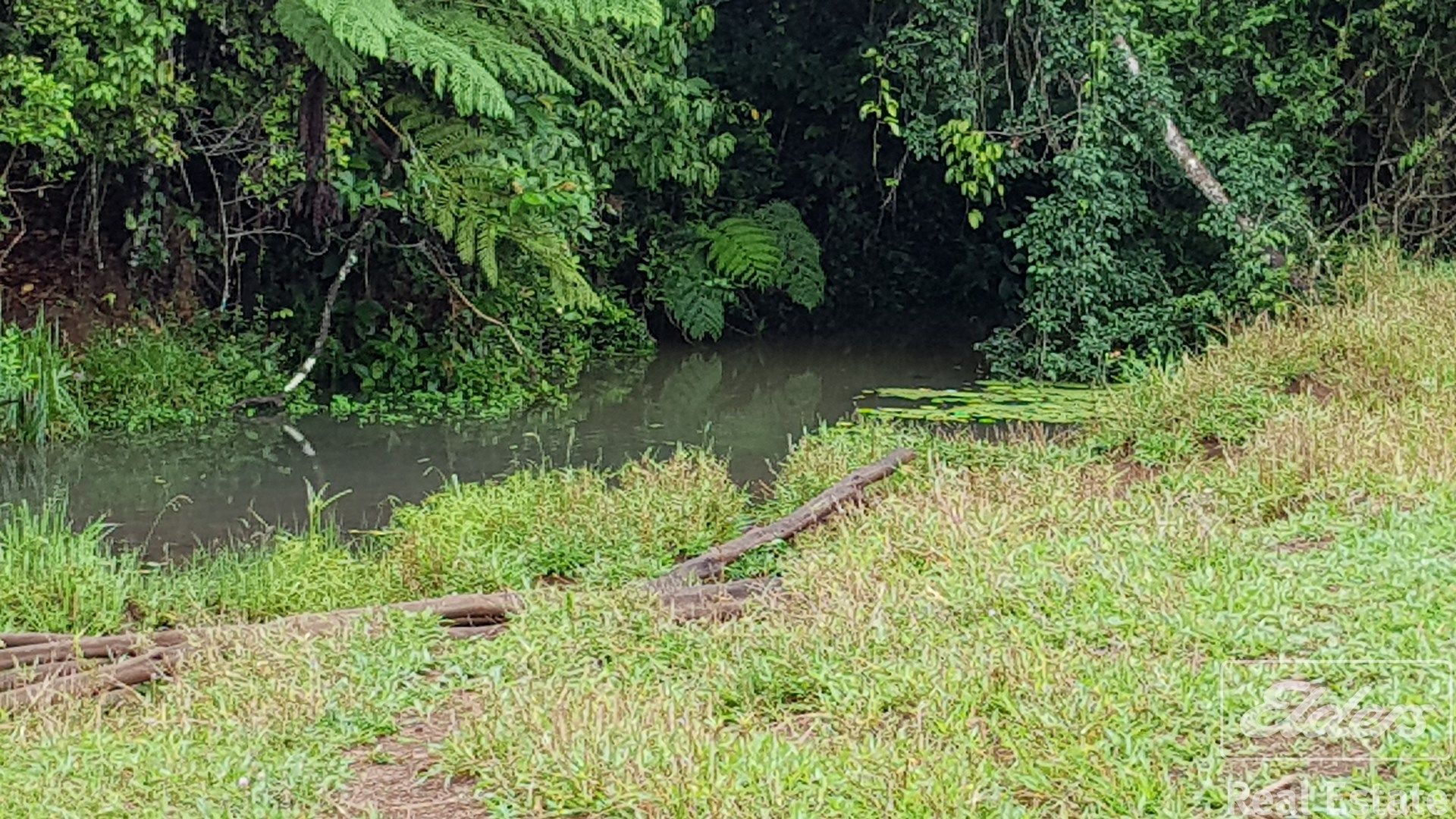 Lake Barrine QLD 4884, Image 1