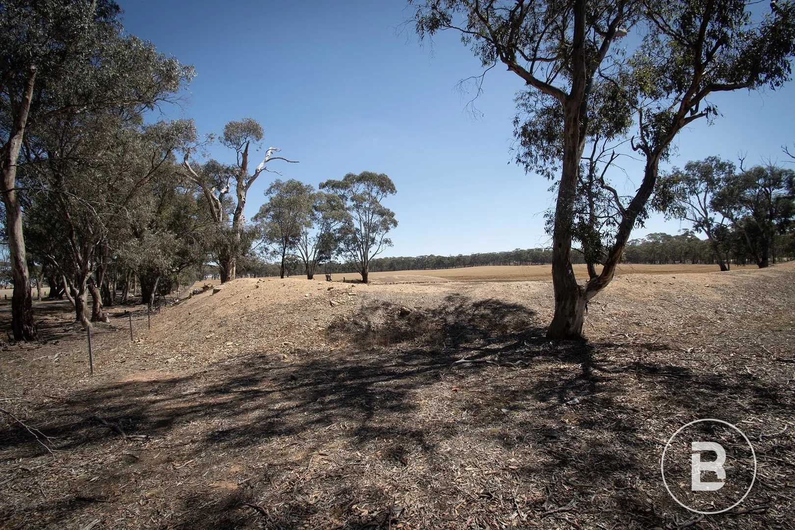 Image 10