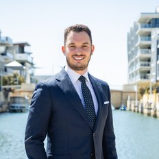 Theo Alexandrou, Sales representative