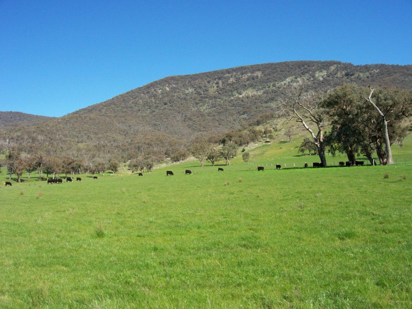 1586 (Lot 9) Kiewa Valley Highway, KIEWA VIC 3691, Image 0