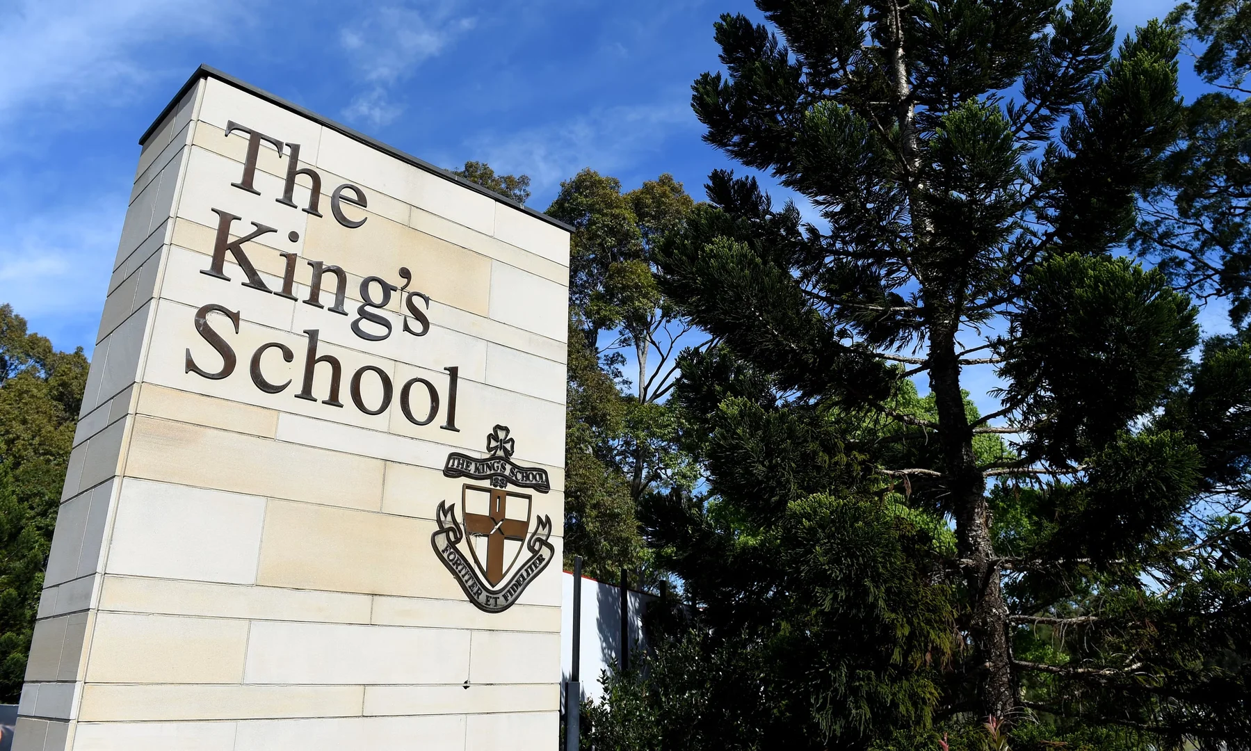 Image 15