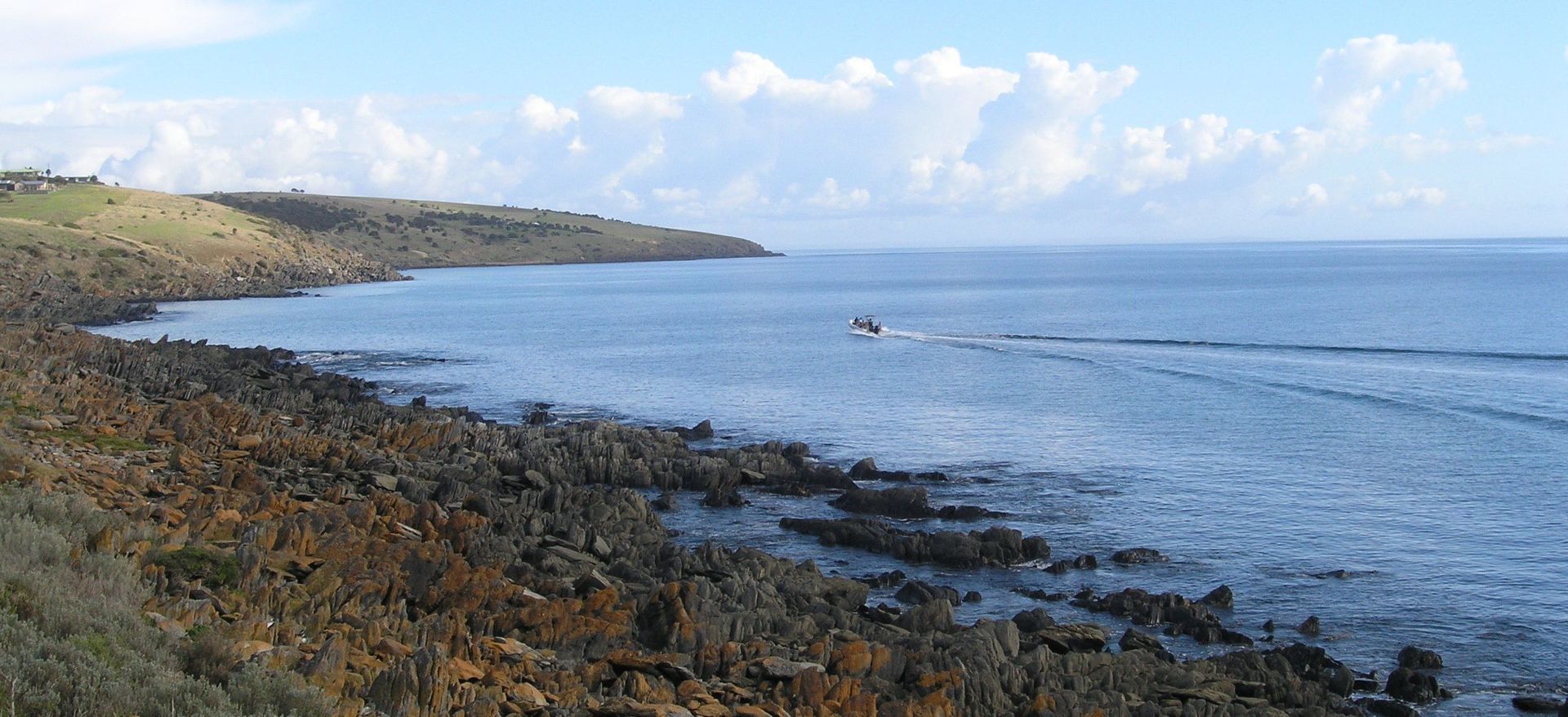 Vacant land in 7 Christmas St, PENNESHAW SA, 5222