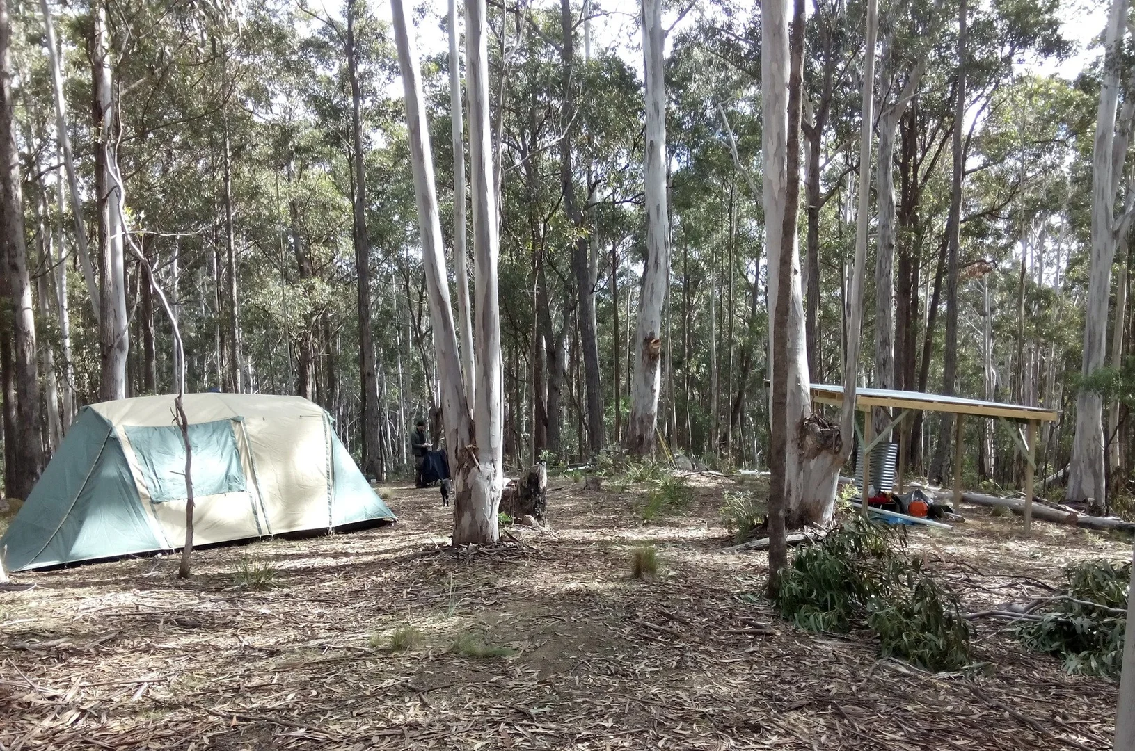 Image 6