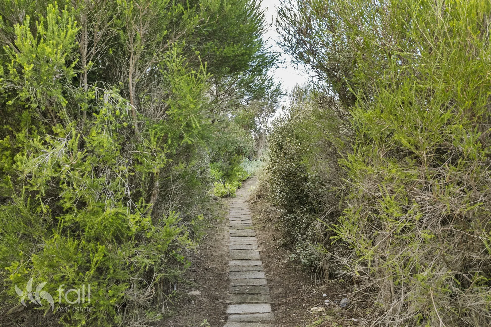Image 25
