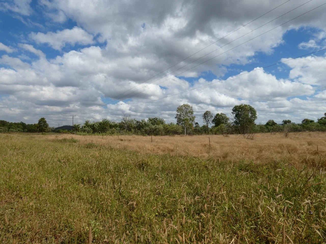 Image 21