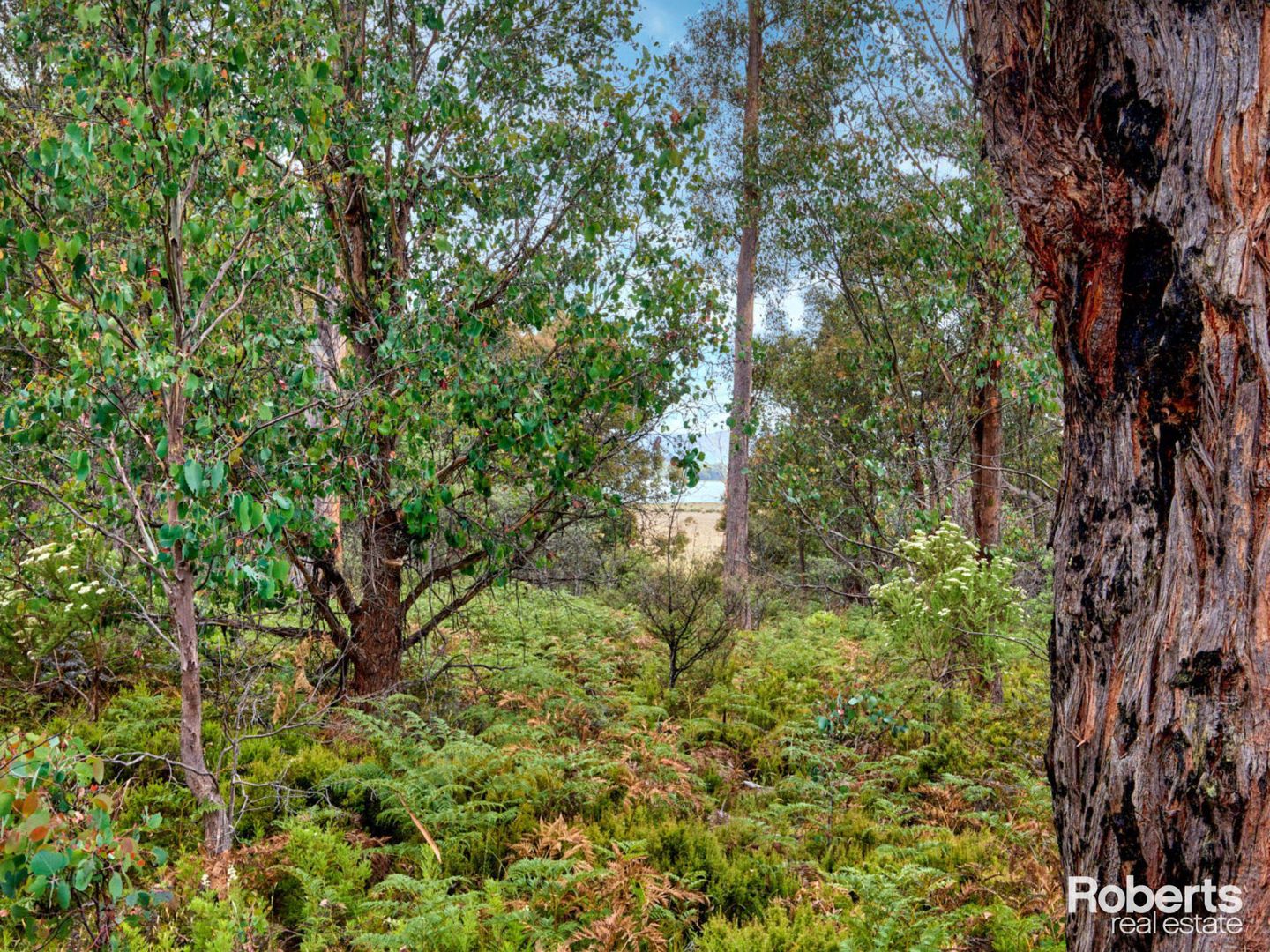 Lot 4/172 Woodwards Bay Road, Bradys Lake TAS 7140, Image 2