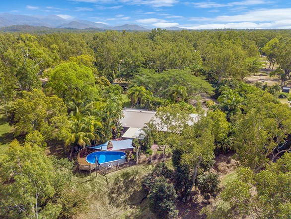 450 Forestry Road, Bluewater Park QLD 4818