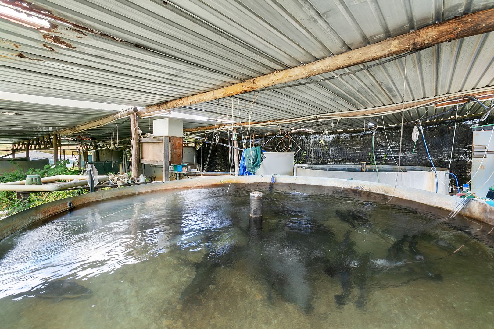 168 Stoney Creek Road, Speewah QLD 4881 Farm for Sale Domain