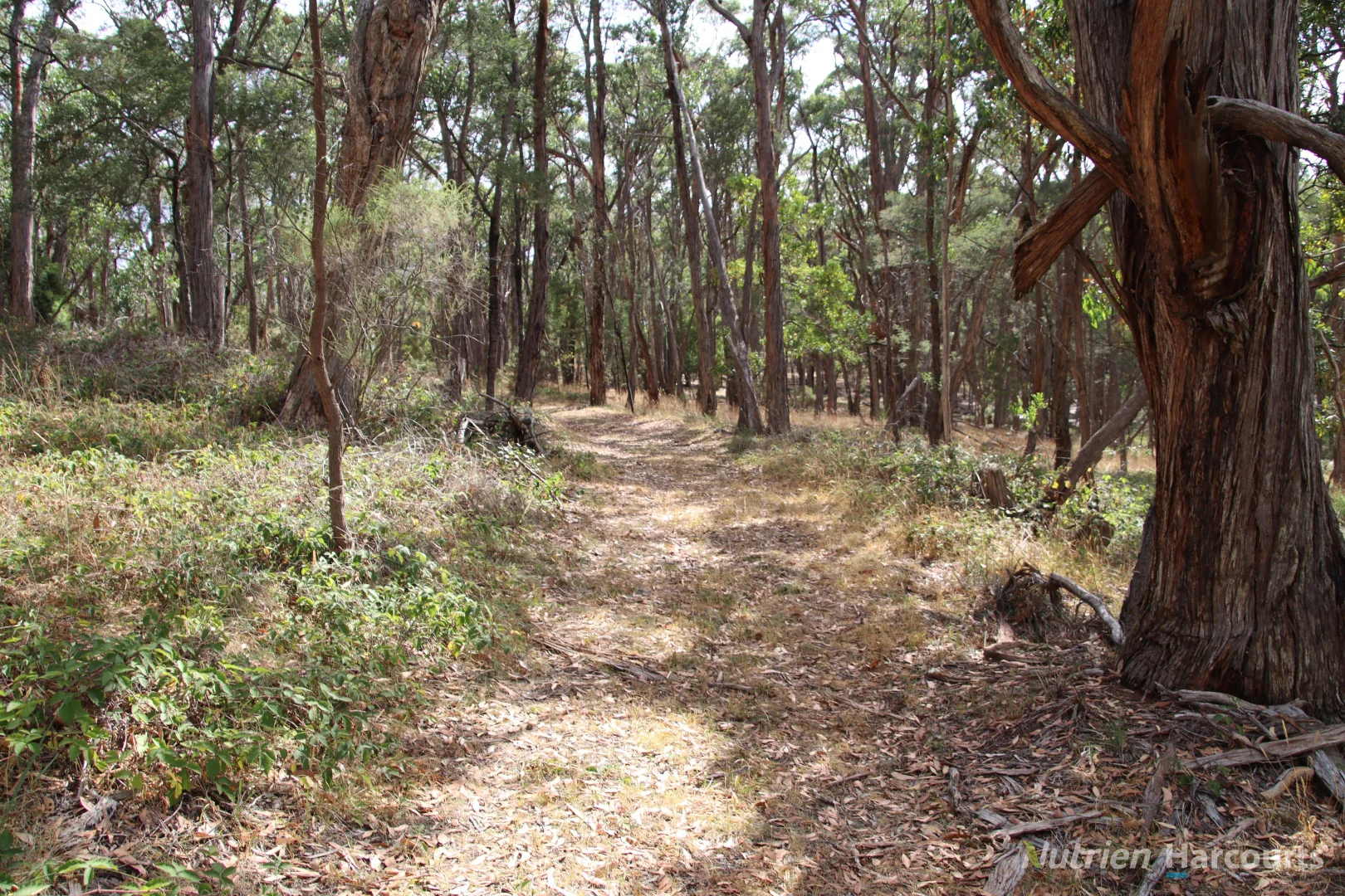 Additional image 10 of Lot 2 Skirkas Road, Buninyong VIC 3357