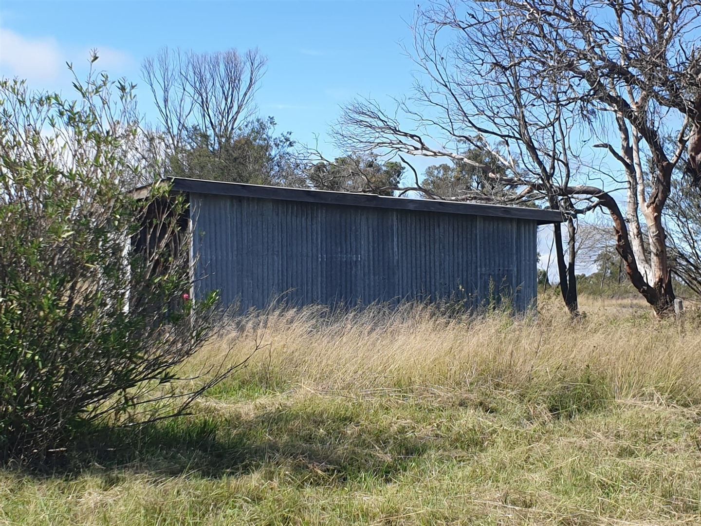 Lot 170 Amiens Road, Amiens QLD 4380, Image 1