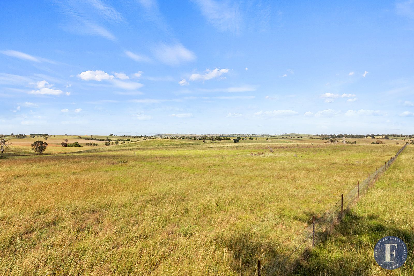 3500 Lachlan Valley Way, Boorowa NSW 2586, Image 2