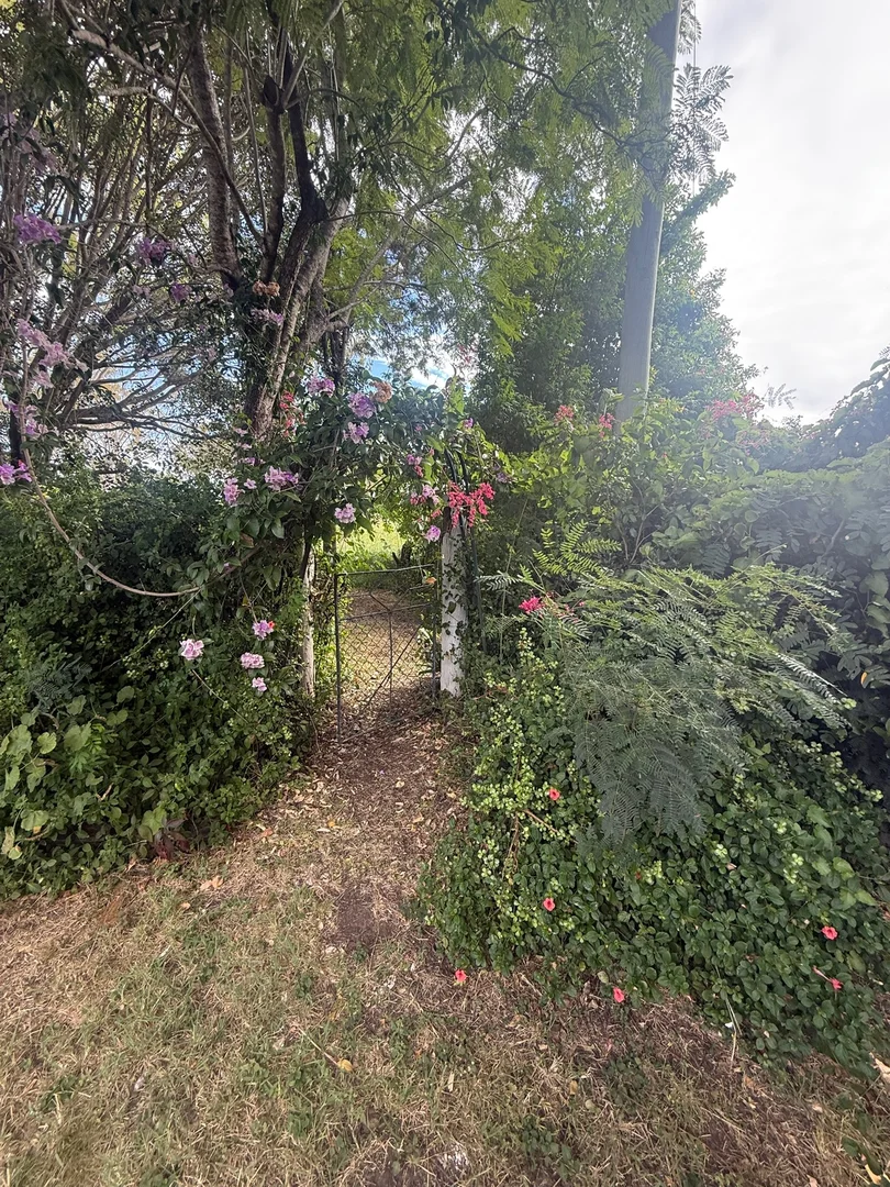 Additional image 20 of 8 Cecil Street, Kabra QLD 4702