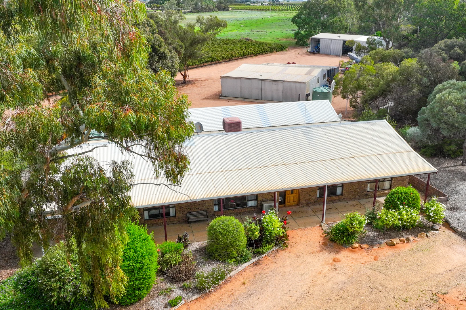 Additional image 3 of 129 Evans Road, Barmera SA 5345