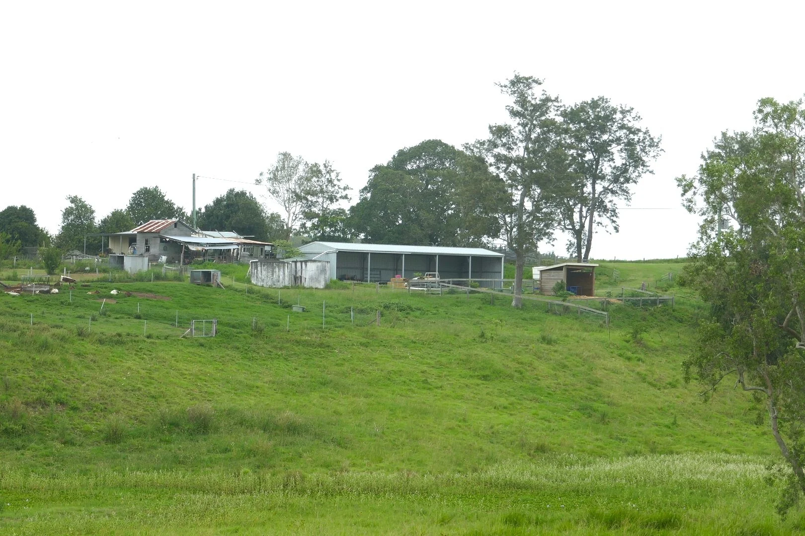 Image 38