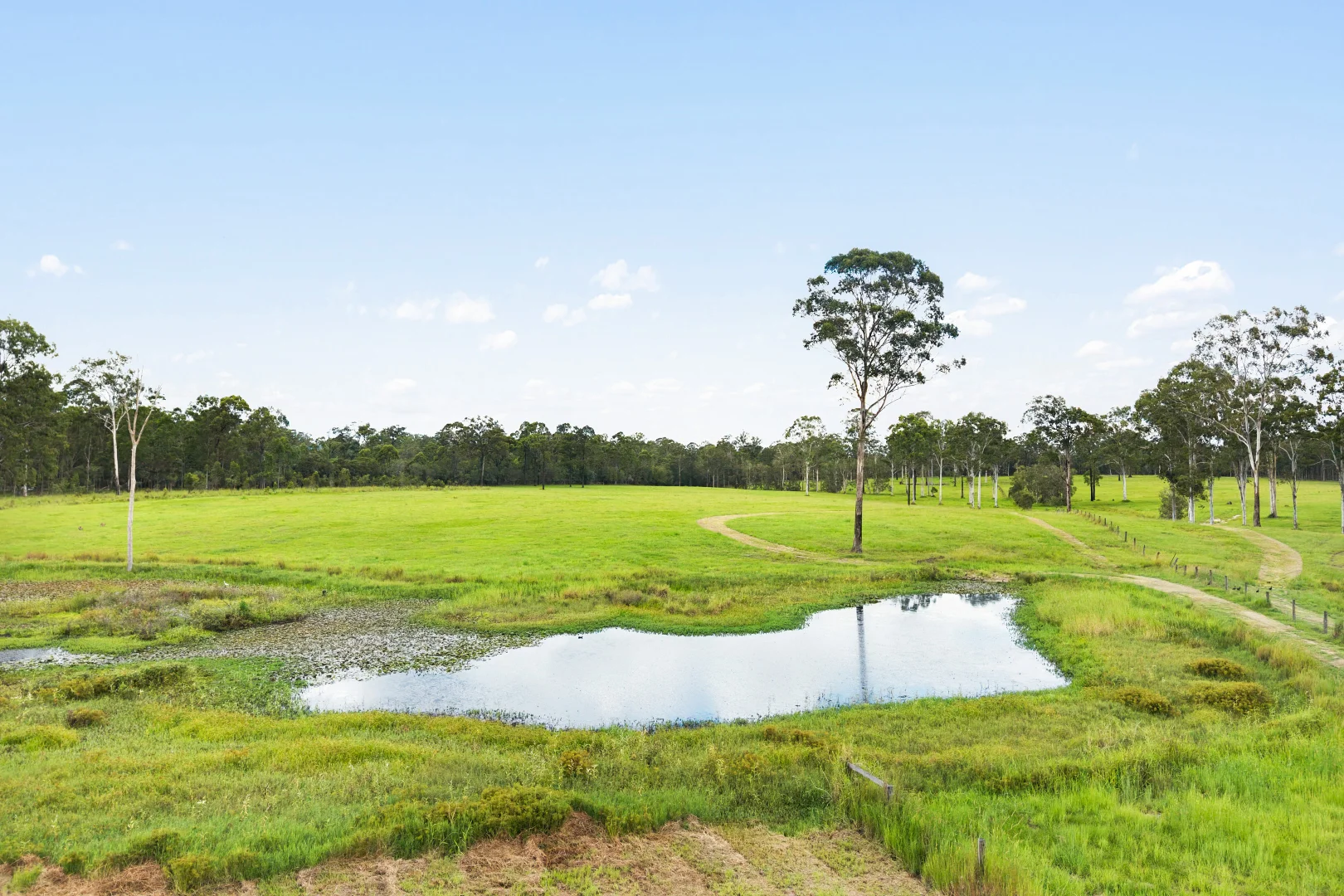 Additional image 33 of 105-135 Dairy Creek Road, Buccan QLD 4207