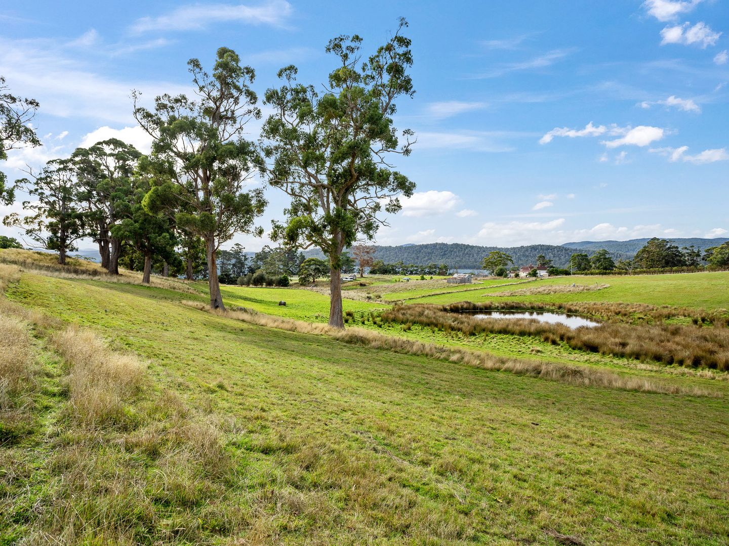 Lot 3 Nubeena Road, Koonya TAS 7187, Image 2