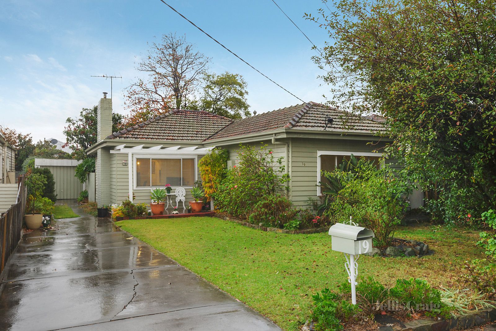 19 Shedden Street, Pascoe Vale VIC 3044, Image 0