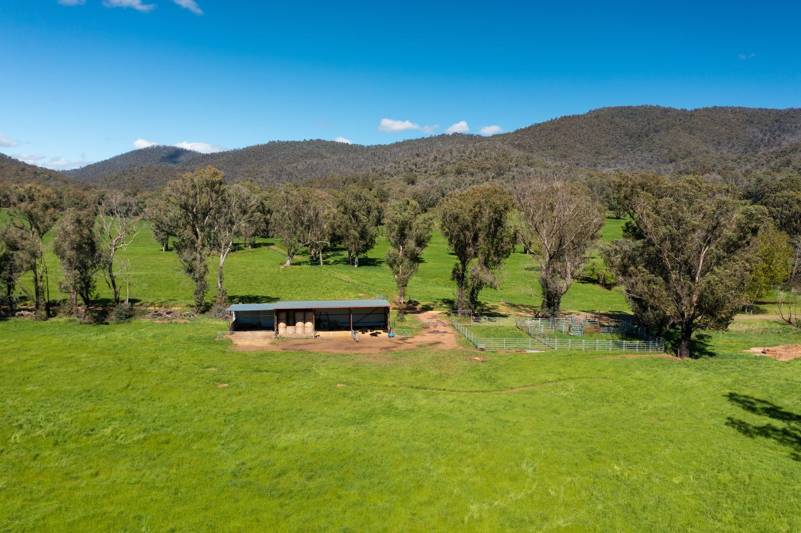 648 BUNROY ROAD, Biggara VIC 3707, Image 2