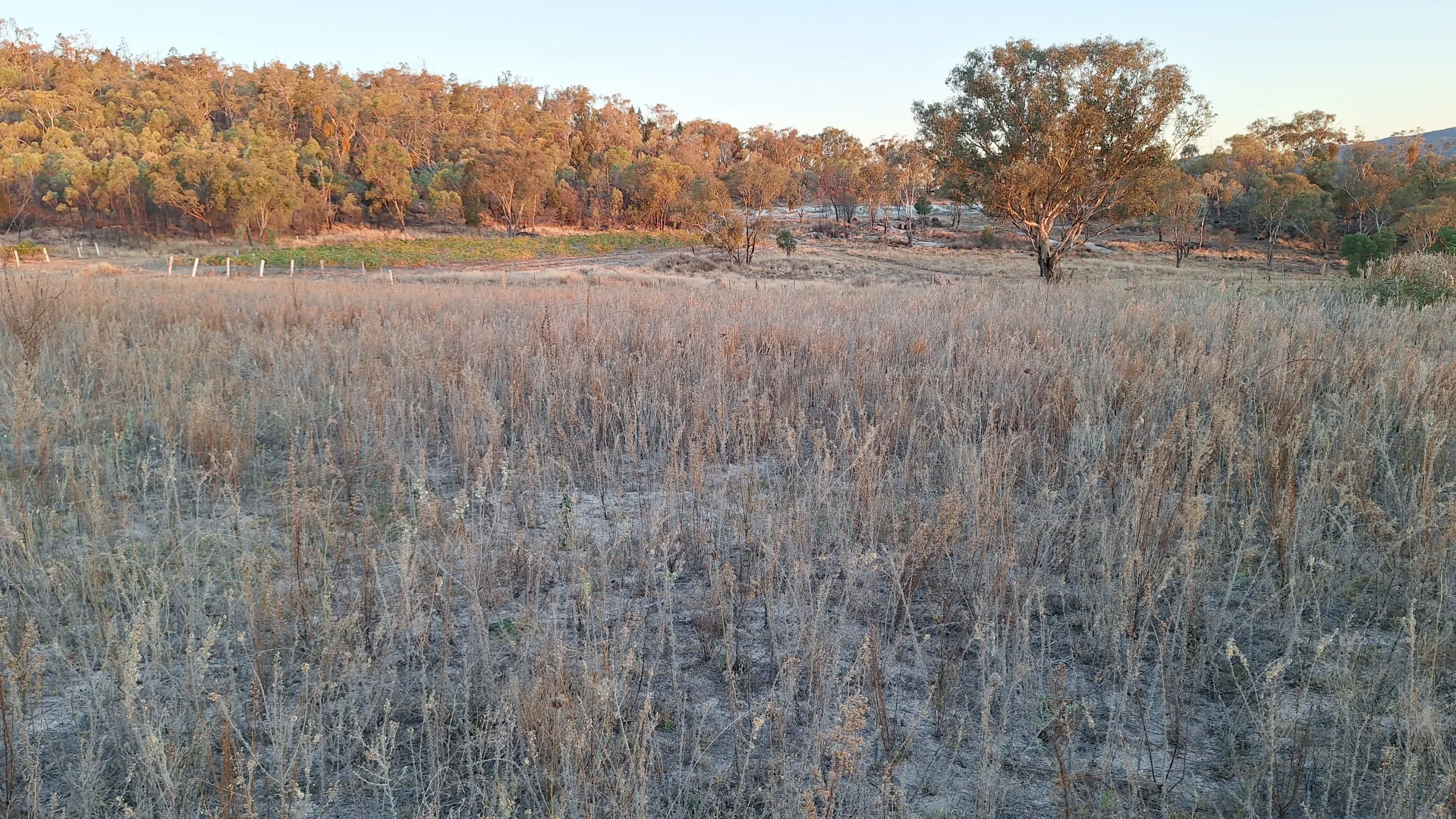 Additional image 18 of 60 Rees Road, Ballandean QLD 4382