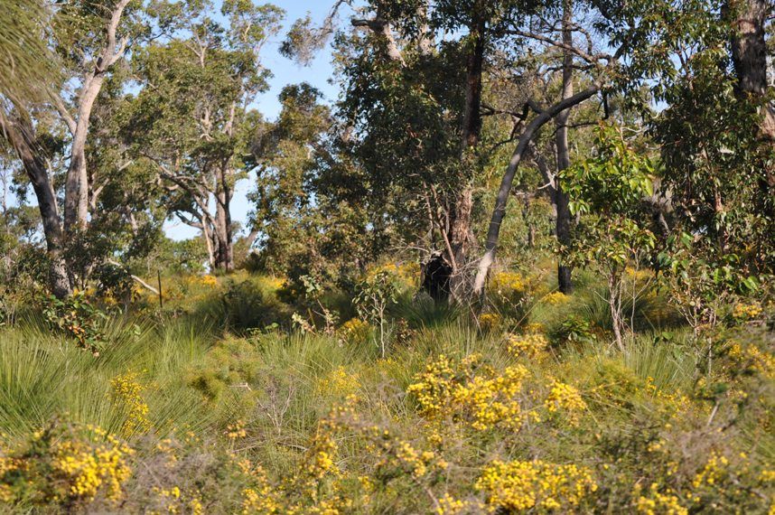 Sold Lot 326 Annmaria Rise, Eagle Bay WA 6281 on 08 Feb 2016