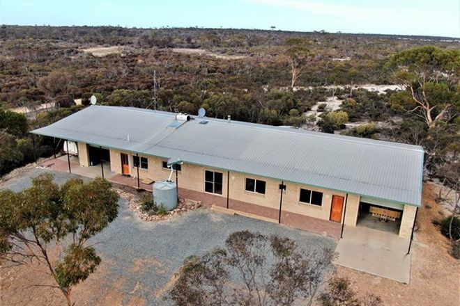 10 Real Estate Properties For Sale In Lake King Wa 6356 Domain