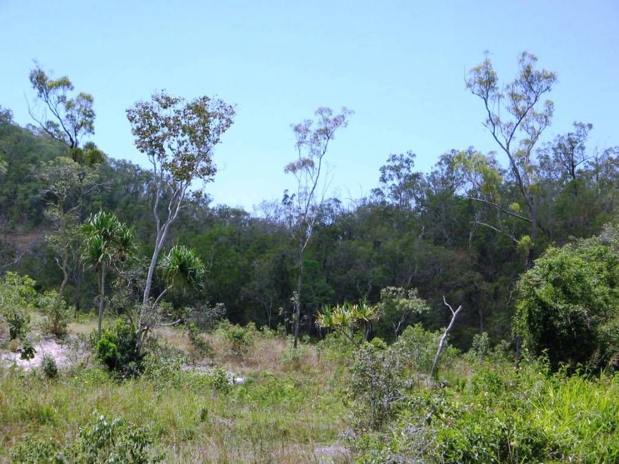 LOT 24 HAYMAN DRIVE, Bloomsbury QLD 4799, Image 0