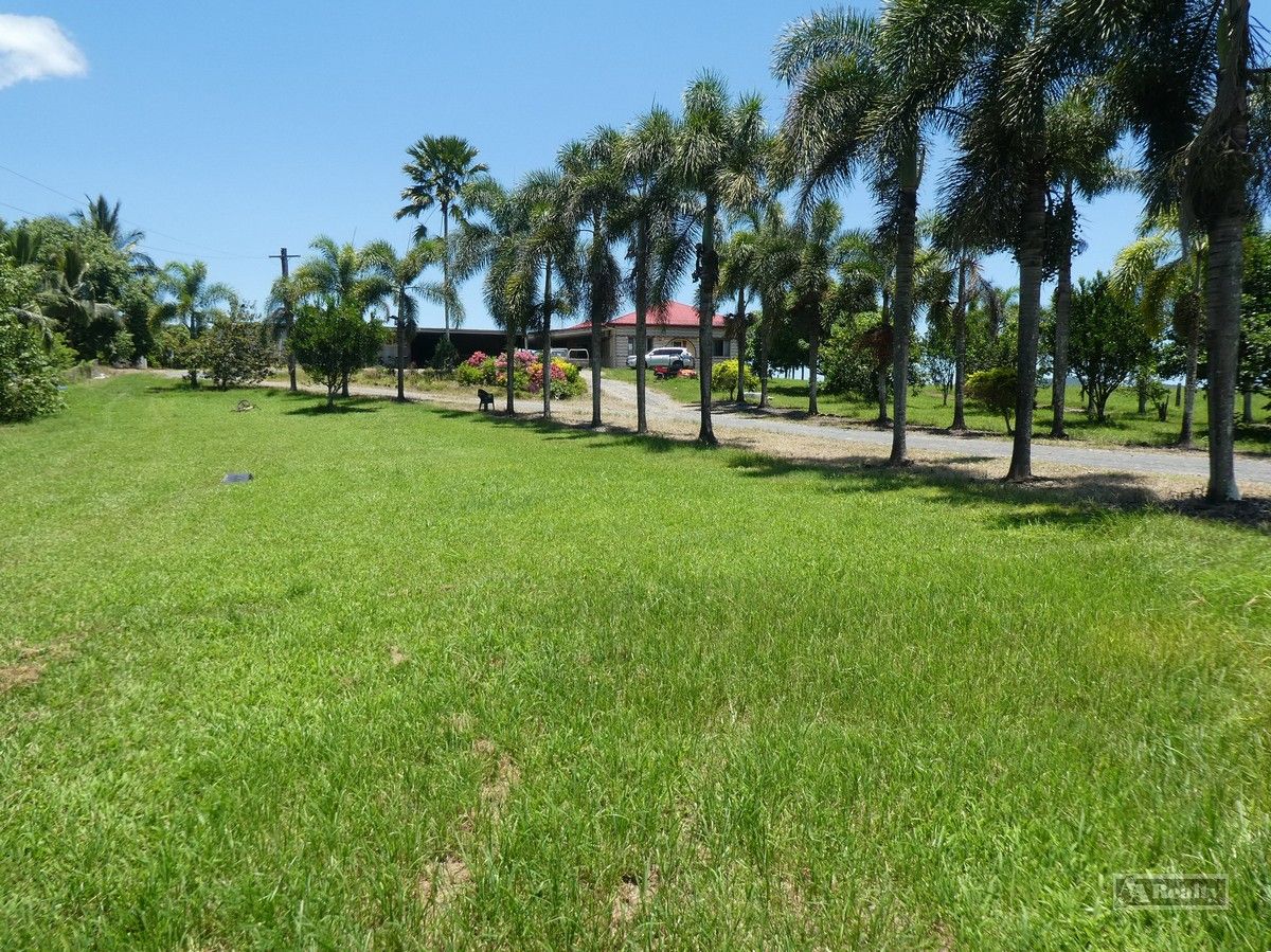 Silkwood QLD 4856 Specialist Farm for Sale 790,000 Domain