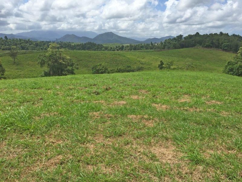 Lot 2 0 Rainforest Falls Road, East Palmerston QLD 4860, Image 0