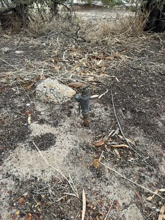 Additional image 13 of 17 Loudon Street, Quairading WA 6383