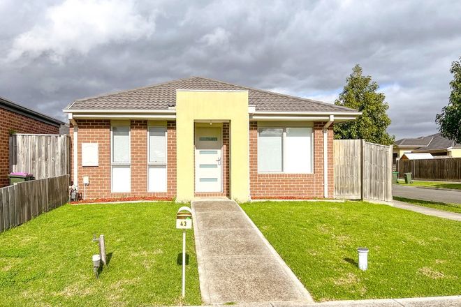 Picture of 43 Hollaway Drive, MERNDA VIC 3754