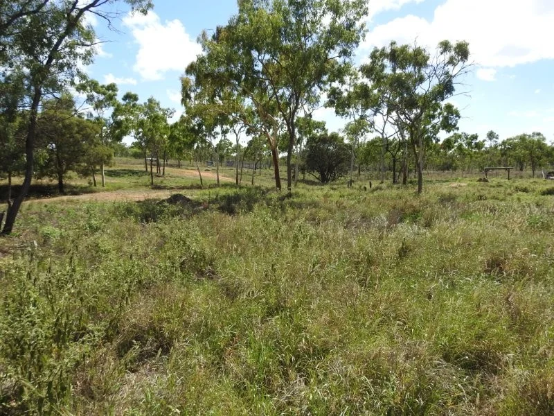 Image 34