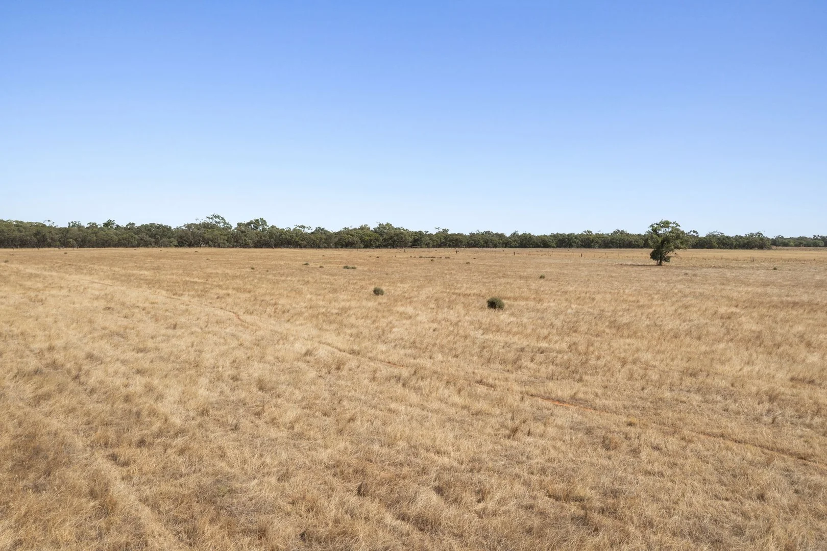 Image 13