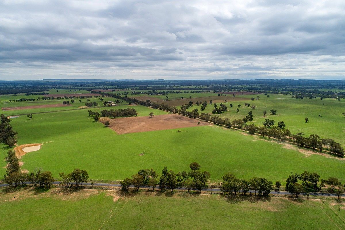 110 Whitehouse Road, Gulgong NSW 2852, Image 0