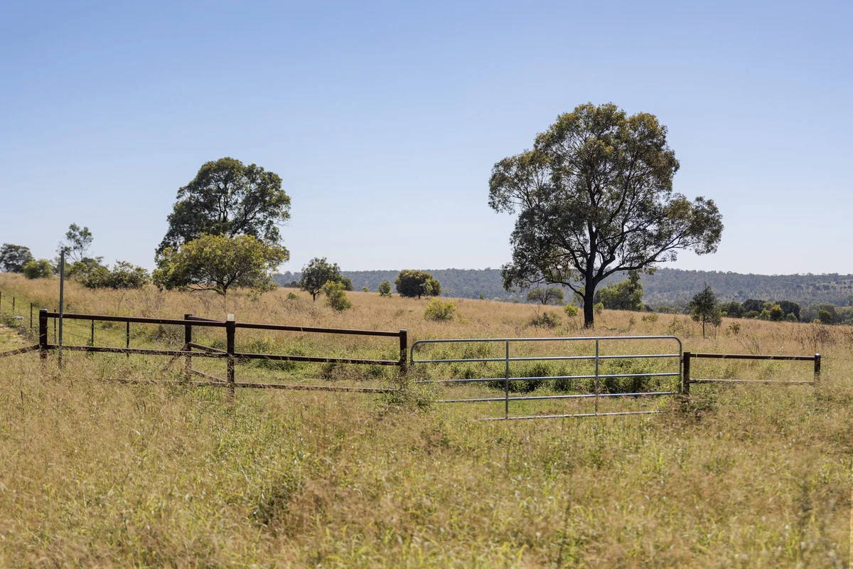 Image 18