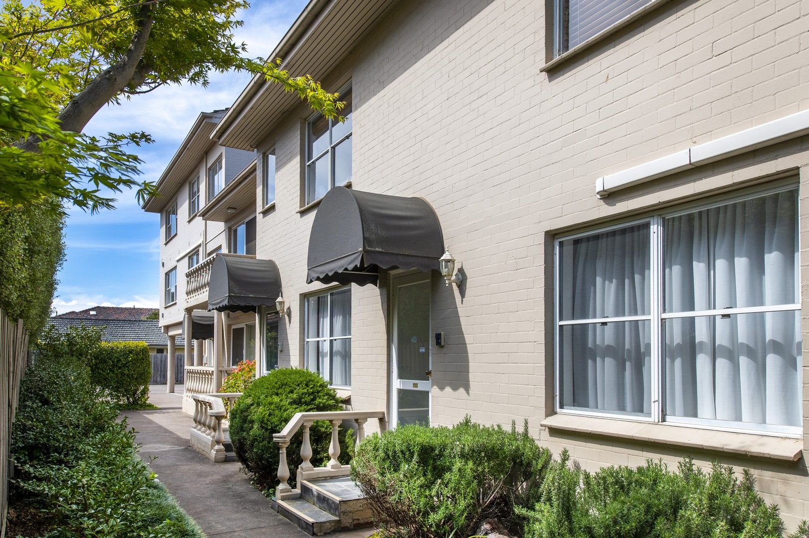 2/44 Walpole Street, Kew VIC 3101 Apartment For Rent Domain