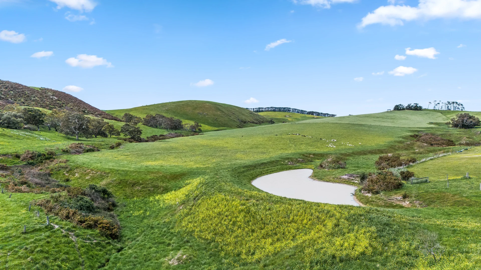 Additional image 3 of 300 Torrens Vale Road, Torrens Vale SA 5203