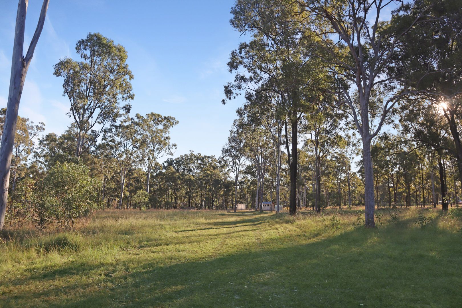 Lot 64 Carbeen Crescent, Nanango QLD 4615, Image 2