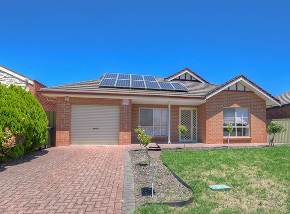 19 Angelo Street, Newton SA 5074