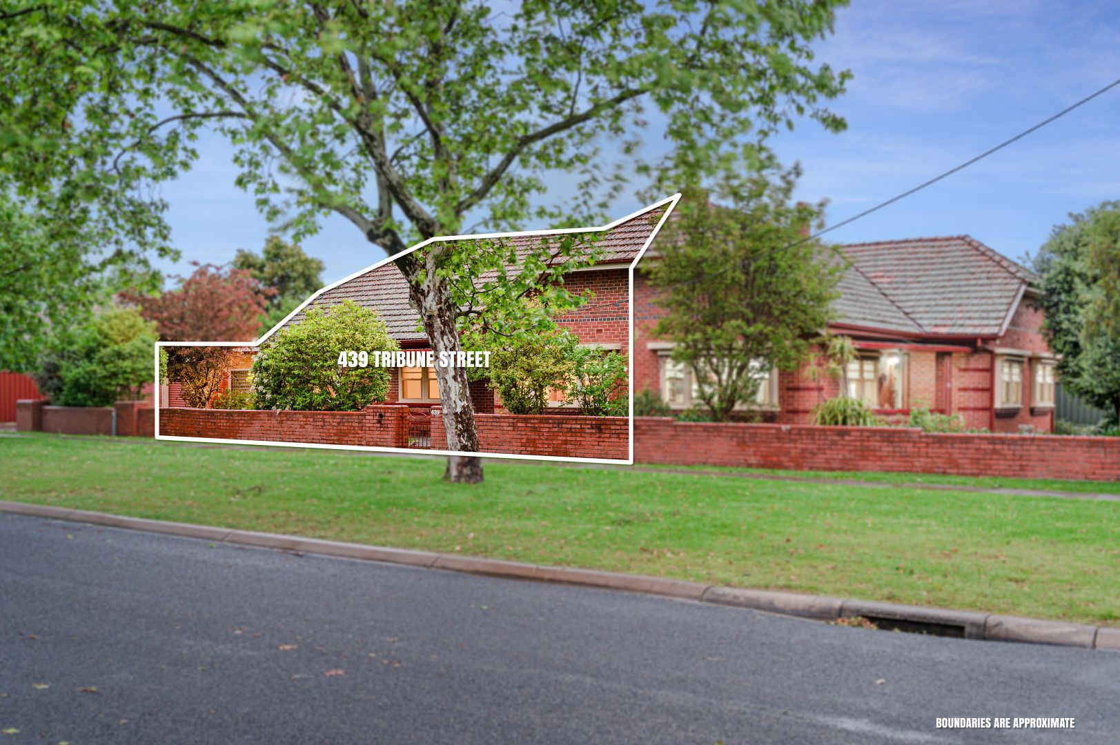 724 Macauley Street, Albury NSW 2640, Image 2