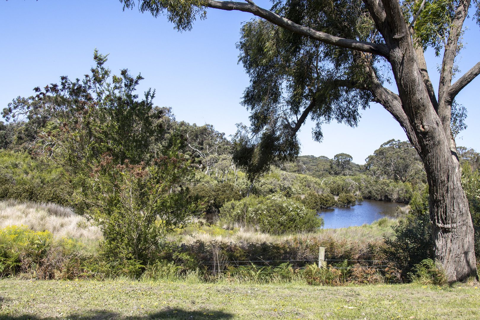 Lot 95 Bennison Way, Inverloch VIC 3996, Image 2