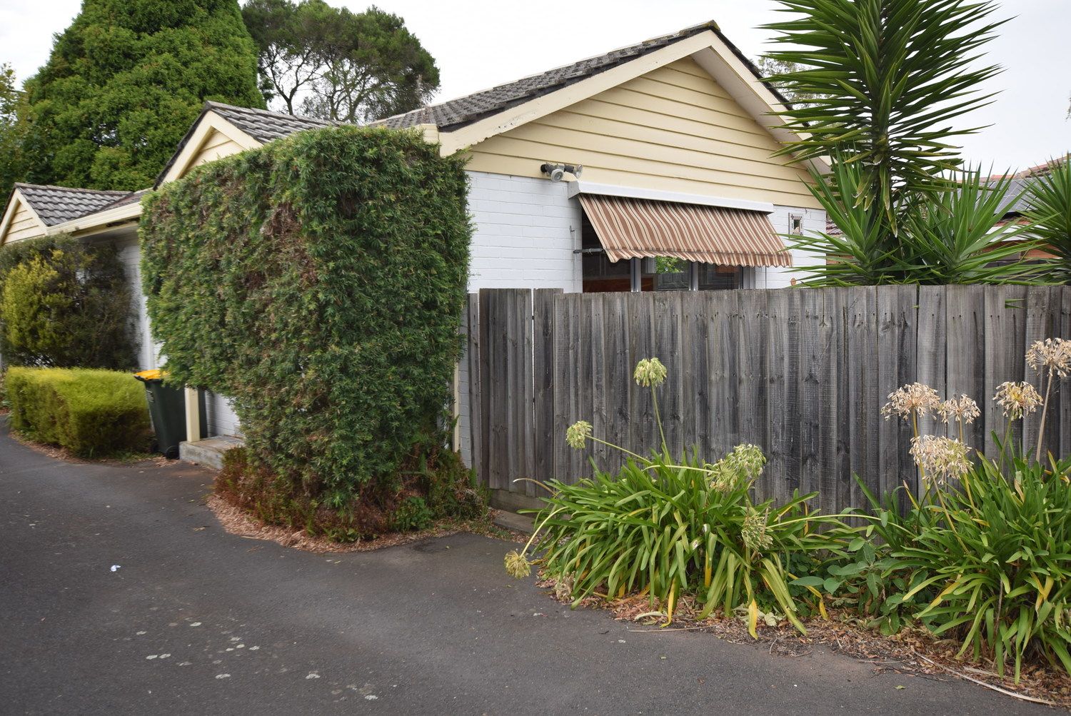 3/138 Heatherdale Road, Mitcham VIC 3132 Apartment For Rent Domain