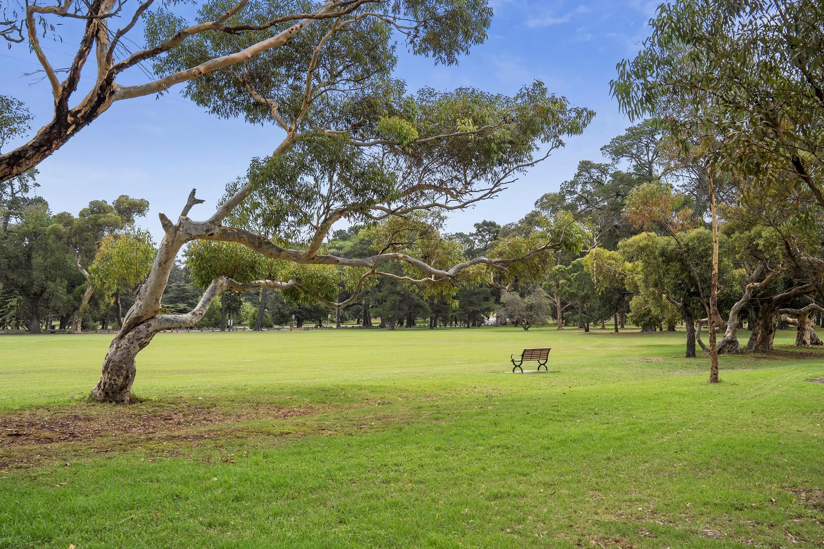 Additional image 20 of 3 Glen Avenue, East Geelong VIC 3219