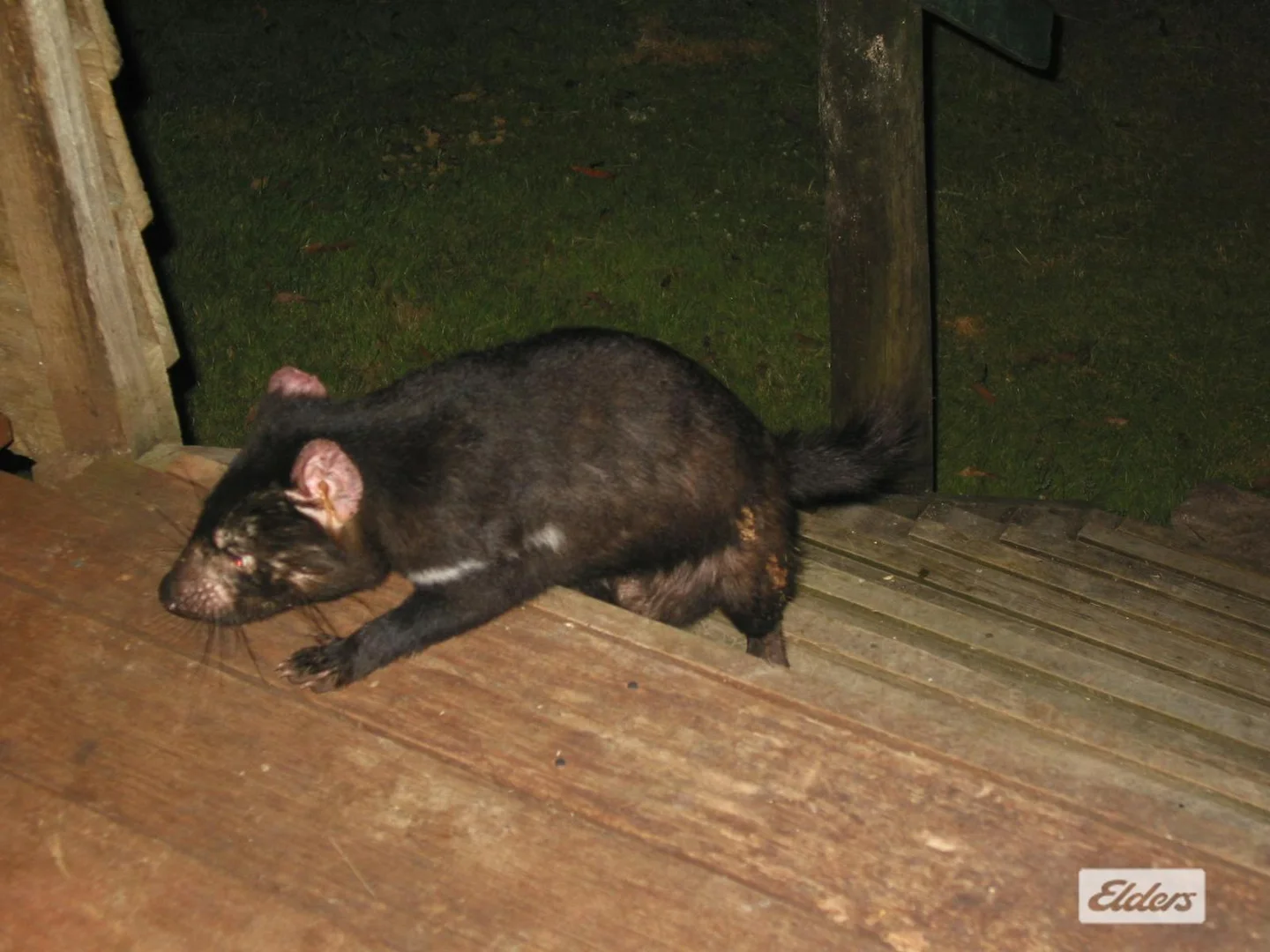 Additional image 28 of 1519 Loongana Road, Loongana TAS 7315