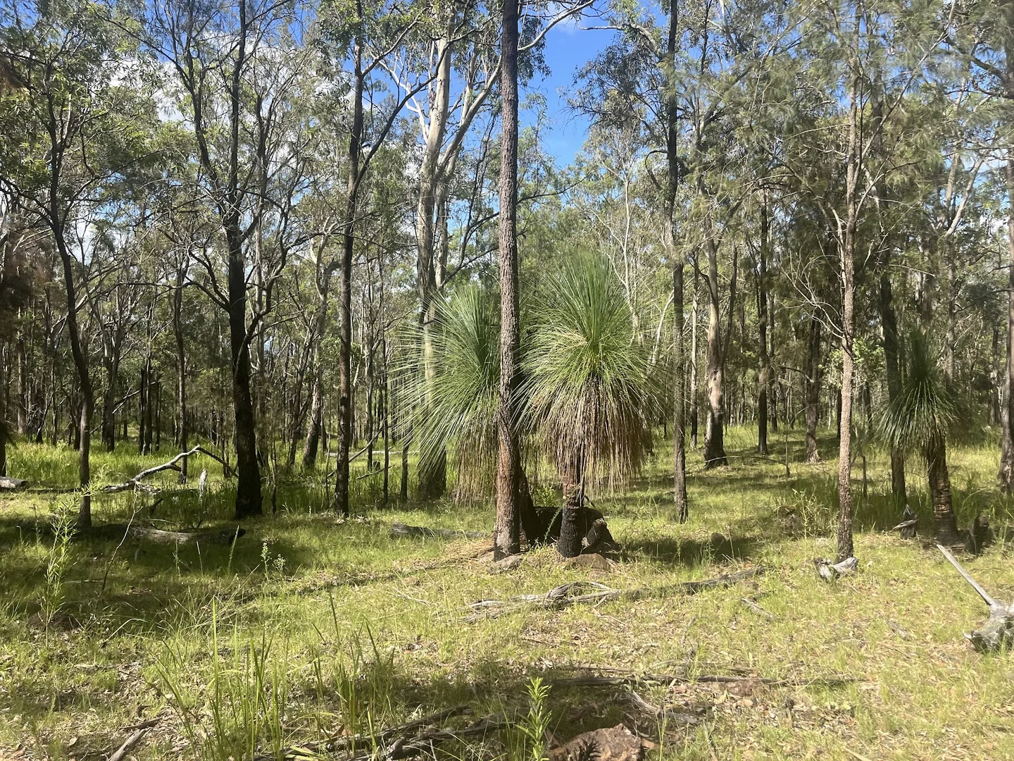 Image 12