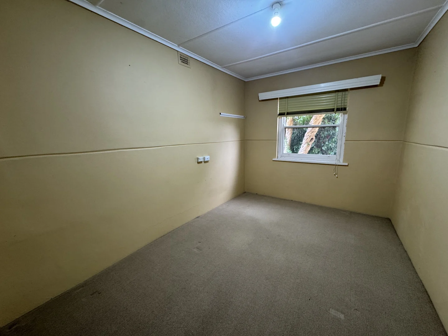 Additional image 8 of 24 Old Kapunda Road, Nuriootpa SA 5355